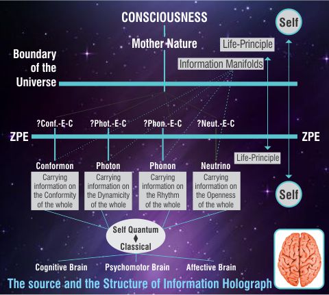 Systems Psyche