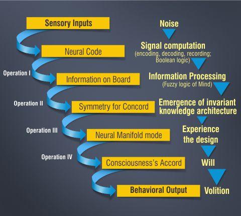 Cellular Cognition